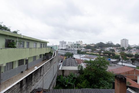 Image 21 - 887787