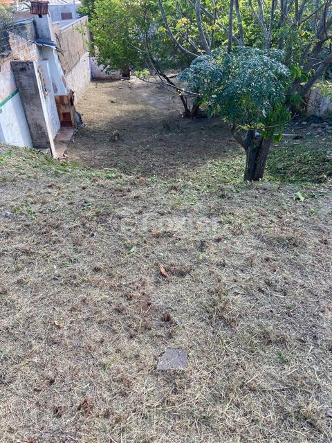 Image 9 - 887902