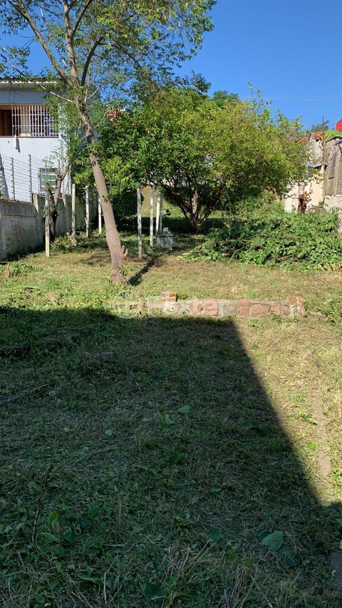 Image 3 - 887902