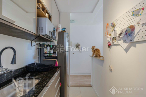 Image 7 - 887904