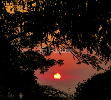 Image 11 - 887970