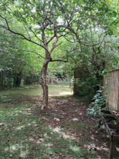 Image 4 - 888395