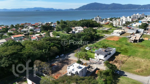Image 7 - 890334
