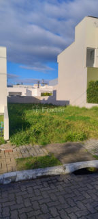 Image 6 - 890464