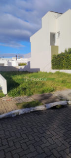 Image 5 - 890464