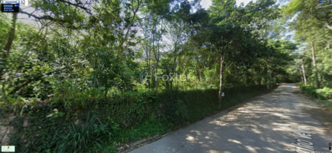 Image 7 - 890647