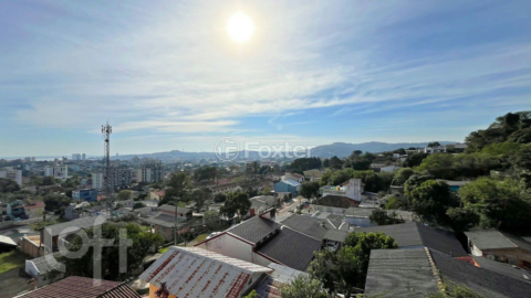 Image 34 - 890835