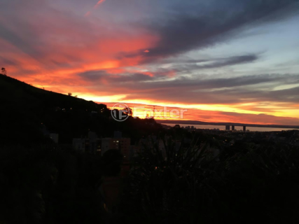 Image 9 - 891268