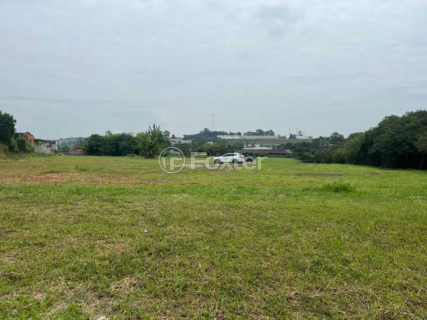 Image 2 - 891652