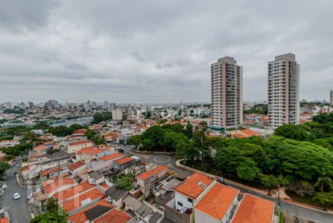 Image 13 - 892372