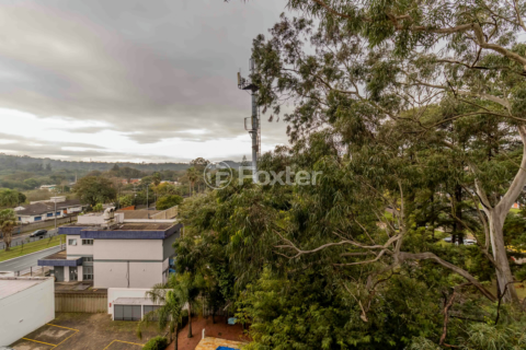 Image 7 - 893409