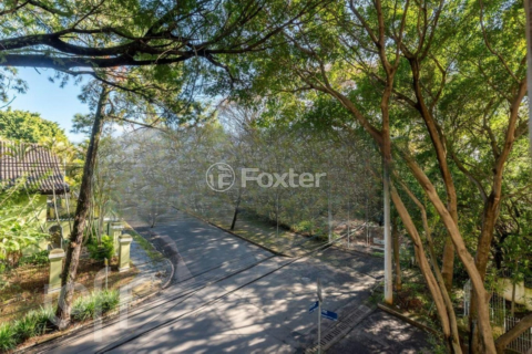 Image 6 - 893649