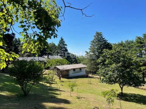 Image 3 - 893881