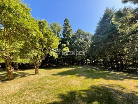 Image 32 - 893881