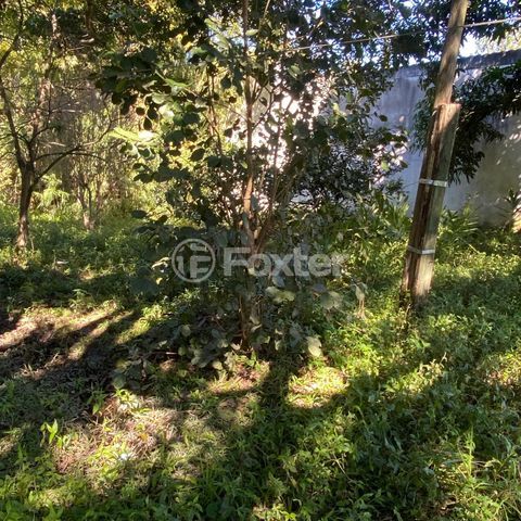 Image 2 - 894675