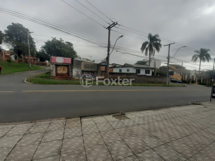 Image 4 - 895356