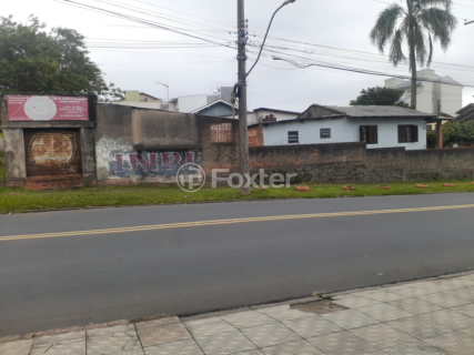 Image 3 - 895356