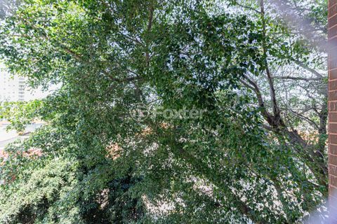 Image 21 - 895791