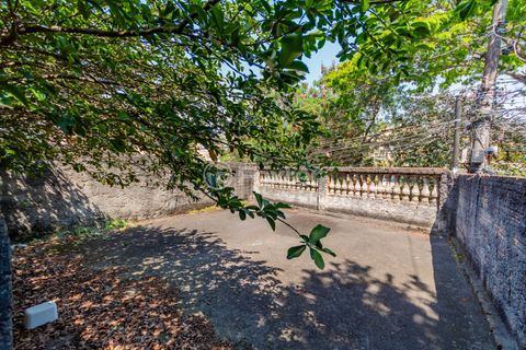 Image 31 - 895795