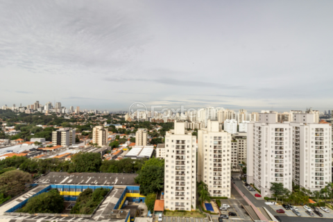 Image 22 - 895846