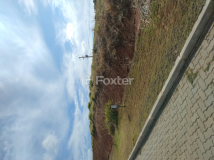 Image 4 - 896216