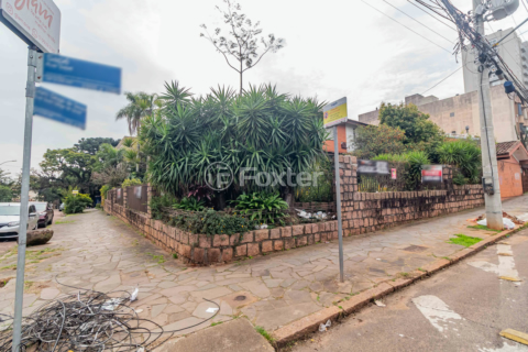 Image 6 - 896544