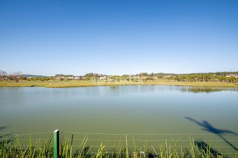 Image 9 - 896549