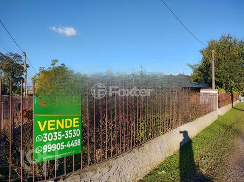 Image 33 - 896968