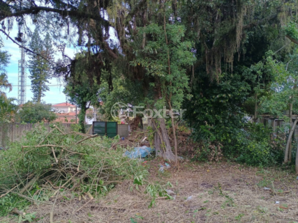 Image 10 - 897813