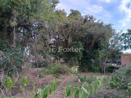 Image 6 - 897813
