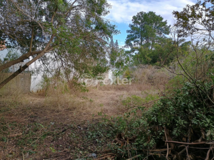 Image 9 - 897813
