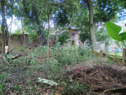 Image 7 - 897813