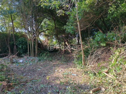 Image 11 - 897813