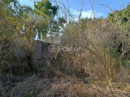 Image 4 - 897813