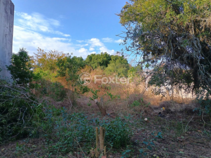 Image 3 - 897813