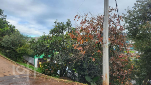Image 34 - 897911
