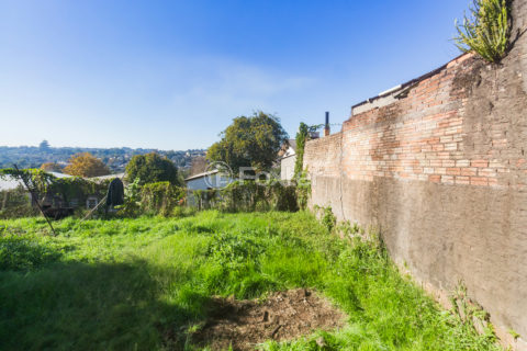 Image 24 - 898550