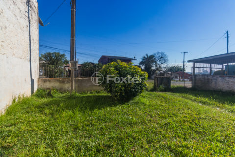 Image 30 - 898550