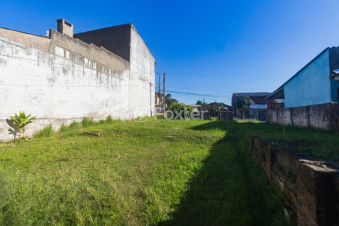 Image 29 - 898550