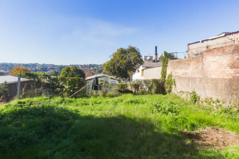 Image 25 - 898550