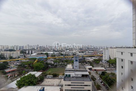 Image 3 - 899436