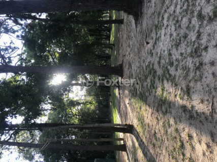 Image 35 - 899522