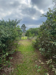 Image 17 - 900382