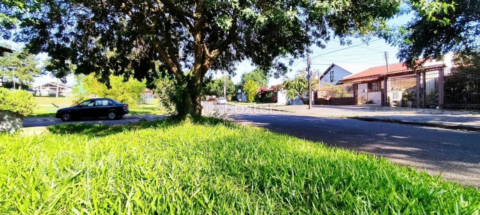 Image 5 - 904564