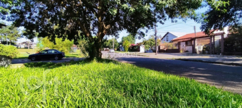 Image 4 - 904564