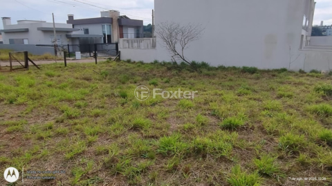 Image 7 - 905881