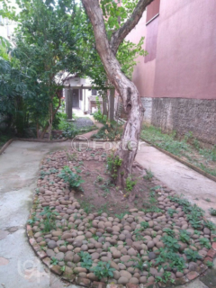 Image 6 - 906077