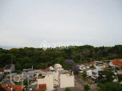 Image 20 - 909877
