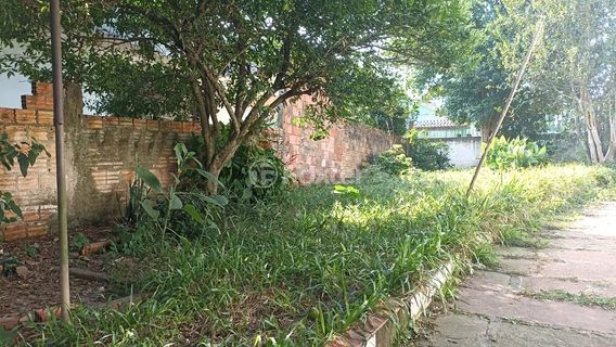 Image 7 - 915173