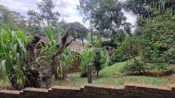 Image 4 - 915556